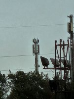20250904_190351.jpg