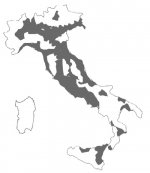 rtmi_copertura_j.jpg rtmi_copertura_j.jpg