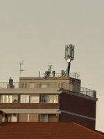 IMG_1110.jpeg IMG_1110.jpeg