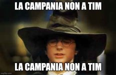 agpmph.jpg agpmph.jpg