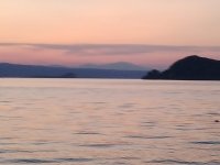 bolsena solstizio 2026.jpeg