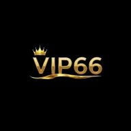 vip66vnorg