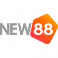 vnew88net2